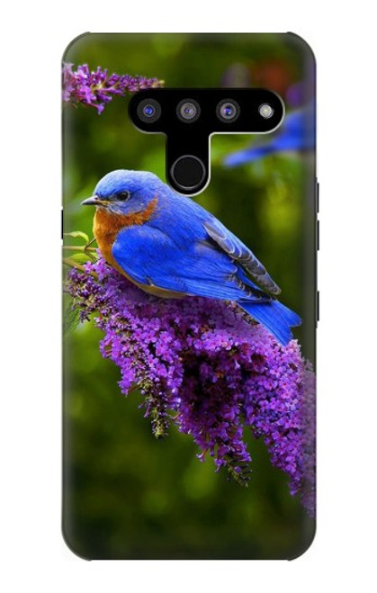 W1565 Bluebird of Happiness Blue Bird Hard Case and Leather Flip Case For LG V50, LG V50 ThinQ 5G