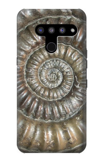 W1788 Ammonite Fossil Hard Case and Leather Flip Case For LG V50, LG V50 ThinQ 5G