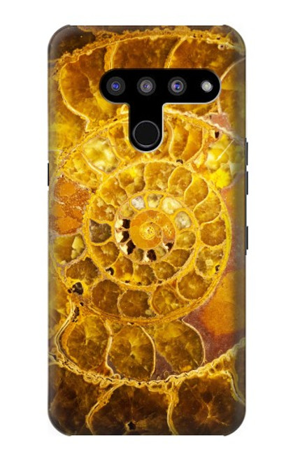 W1789 Ammonite Fossils Hard Case and Leather Flip Case For LG V50, LG V50 ThinQ 5G