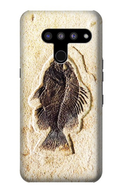 W2562 Fossil Fish Hard Case and Leather Flip Case For LG V50, LG V50 ThinQ 5G