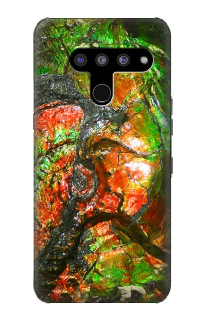 W2694 Ammonite Fossil Hard Case and Leather Flip Case For LG V50, LG V50 ThinQ 5G