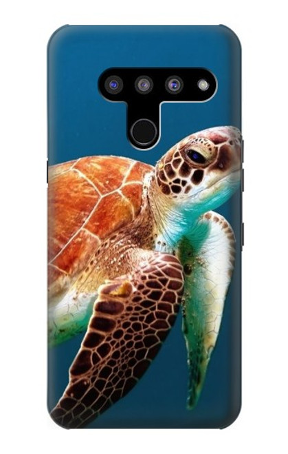 W3497 Green Sea Turtle Hard Case and Leather Flip Case For LG V50, LG V50 ThinQ 5G