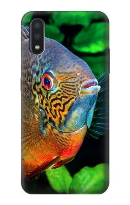 W1812 Cichlid Fish Hard Case and Leather Flip Case For Samsung Galaxy A01