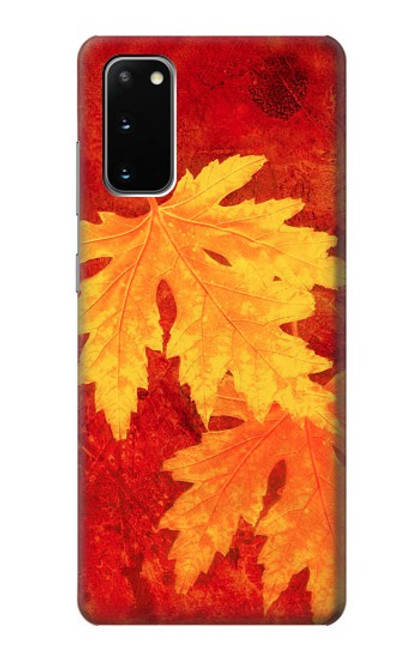 W0479 Maple Leaf Hard Case and Leather Flip Case For Samsung Galaxy S20