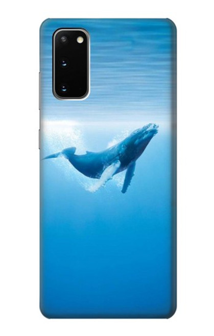 W0843 Blue Whale Hard Case and Leather Flip Case For Samsung Galaxy S20