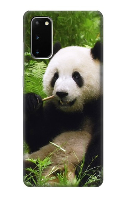 W1073 Panda Enjoy Eating Hard Case and Leather Flip Case For Samsung Galaxy S20