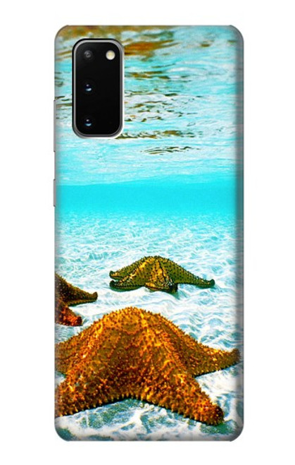 W1679 Starfish Sea Beach Hard Case and Leather Flip Case For Samsung Galaxy S20