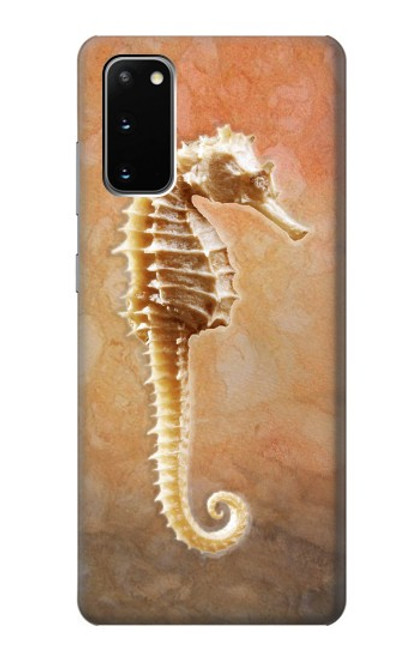 W2674 Seahorse Skeleton Fossil Hard Case and Leather Flip Case For Samsung Galaxy S20