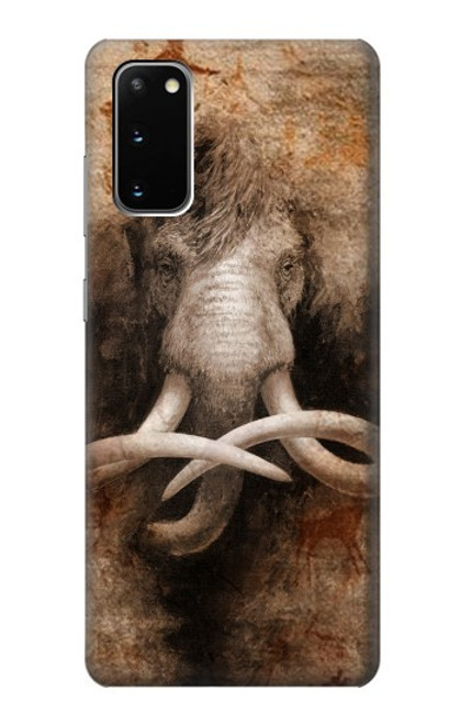 W3427 Mammoth Ancient Cave Art Hard Case and Leather Flip Case For Samsung Galaxy S20