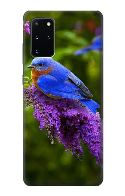 W1565 Bluebird of Happiness Blue Bird Hard Case and Leather Flip Case For Samsung Galaxy S20 Plus, Galaxy S20+