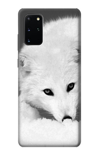 W2569 White Arctic Fox Hard Case and Leather Flip Case For Samsung Galaxy S20 Plus, Galaxy S20+