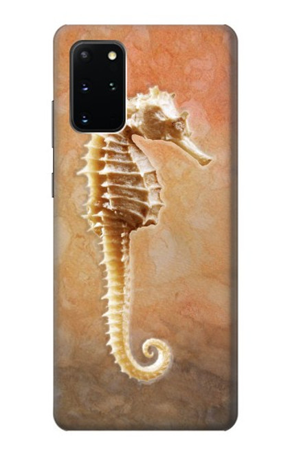 W2674 Seahorse Skeleton Fossil Hard Case and Leather Flip Case For Samsung Galaxy S20 Plus, Galaxy S20+