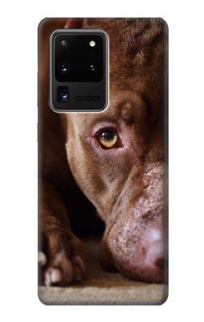 W0519 PitBull Face Hard Case and Leather Flip Case For Samsung Galaxy S20 Ultra