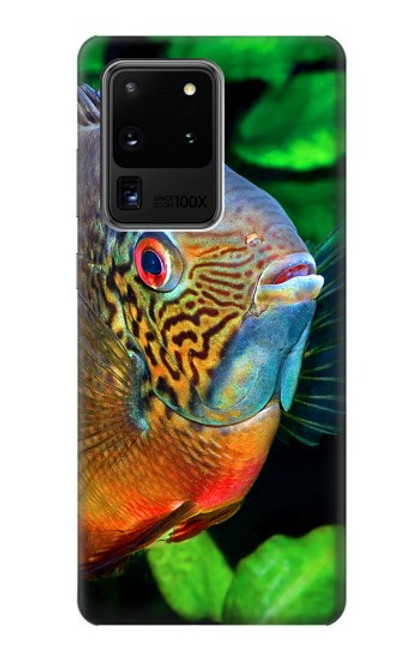 W1812 Cichlid Fish Hard Case and Leather Flip Case For Samsung Galaxy S20 Ultra