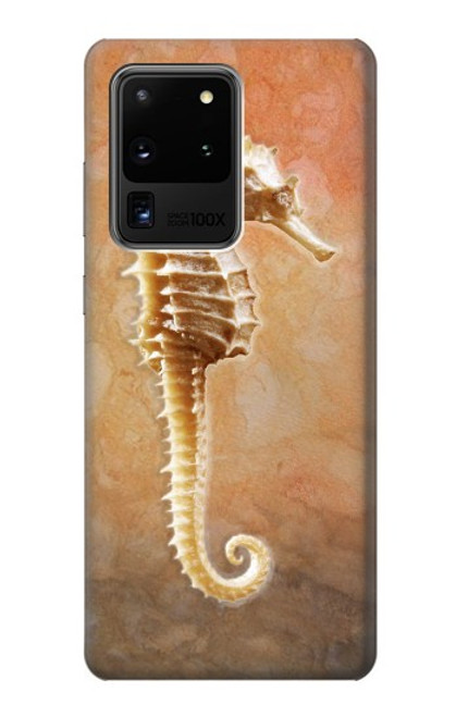 W2674 Seahorse Skeleton Fossil Hard Case and Leather Flip Case For Samsung Galaxy S20 Ultra