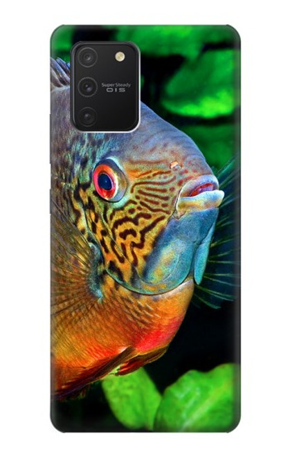 W1812 Cichlid Fish Hard Case and Leather Flip Case For Samsung Galaxy S10 Lite