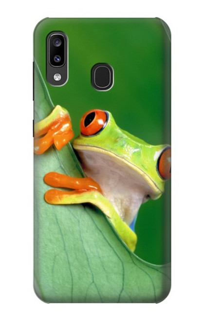 W1047 Little Frog Hard Case and Leather Flip Case For Samsung Galaxy A20, Galaxy A30