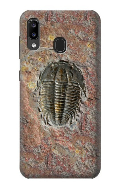 W1454 Trilobite Fossil Hard Case and Leather Flip Case For Samsung Galaxy A20, Galaxy A30