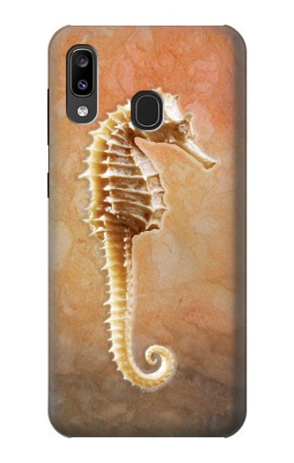 W2674 Seahorse Skeleton Fossil Hard Case and Leather Flip Case For Samsung Galaxy A20, Galaxy A30