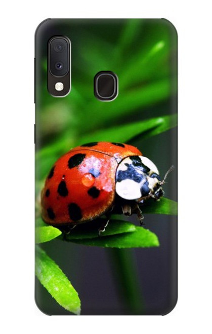 W0263 Ladybug Hard Case and Leather Flip Case For Samsung Galaxy A20e