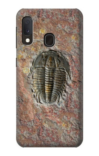 W1454 Trilobite Fossil Hard Case and Leather Flip Case For Samsung Galaxy A20e