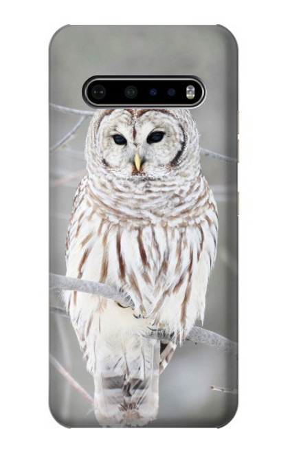 W1566 Snowy Owl White Owl Hard Case and Leather Flip Case For LG V60 ThinQ 5G