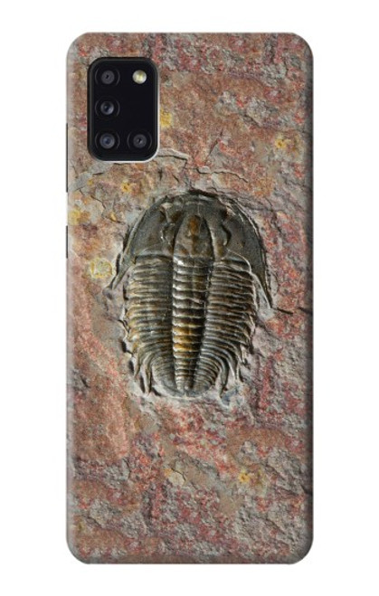 W1454 Trilobite Fossil Hard Case and Leather Flip Case For Samsung Galaxy A31