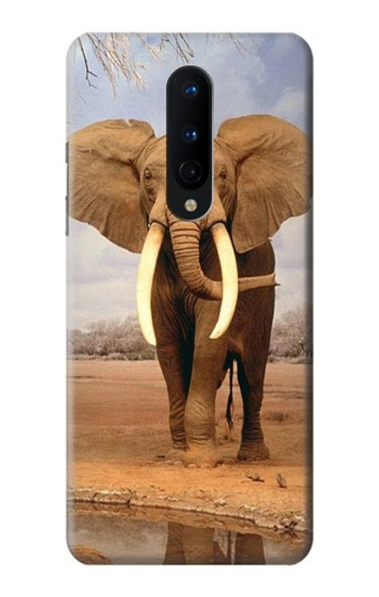 W0310 African Elephant Hard Case and Leather Flip Case For OnePlus 8