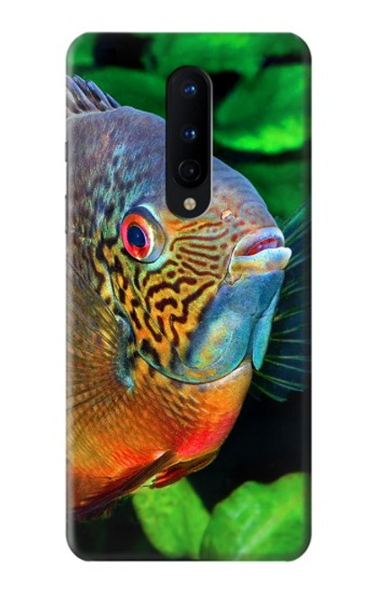 W1812 Cichlid Fish Hard Case and Leather Flip Case For OnePlus 8