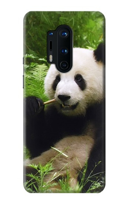 W1073 Panda Enjoy Eating Hard Case and Leather Flip Case For OnePlus 8 Pro