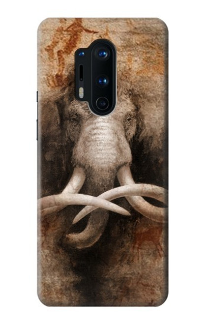 W3427 Mammoth Ancient Cave Art Hard Case and Leather Flip Case For OnePlus 8 Pro