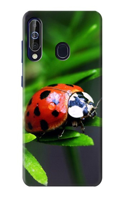 W0263 Ladybug Hard Case and Leather Flip Case For Samsung Galaxy A60