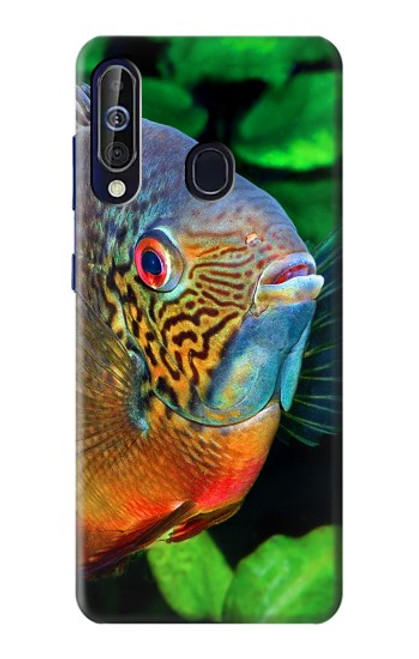 W1812 Cichlid Fish Hard Case and Leather Flip Case For Samsung Galaxy A60