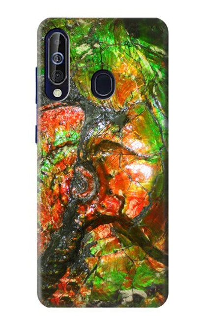 W2694 Ammonite Fossil Hard Case and Leather Flip Case For Samsung Galaxy A60