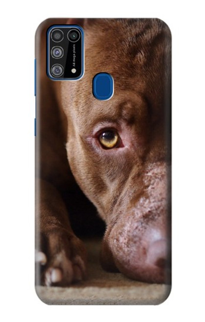 W0519 PitBull Face Hard Case and Leather Flip Case For Samsung Galaxy M31