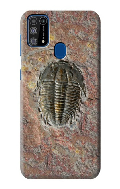 W1454 Trilobite Fossil Hard Case and Leather Flip Case For Samsung Galaxy M31