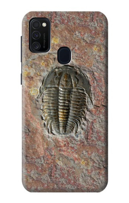 W1454 Trilobite Fossil Hard Case and Leather Flip Case For Samsung Galaxy M21