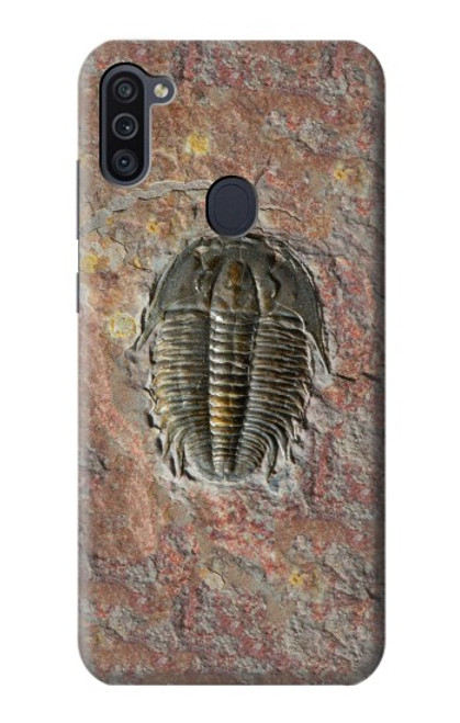 W1454 Trilobite Fossil Hard Case and Leather Flip Case For Samsung Galaxy M11