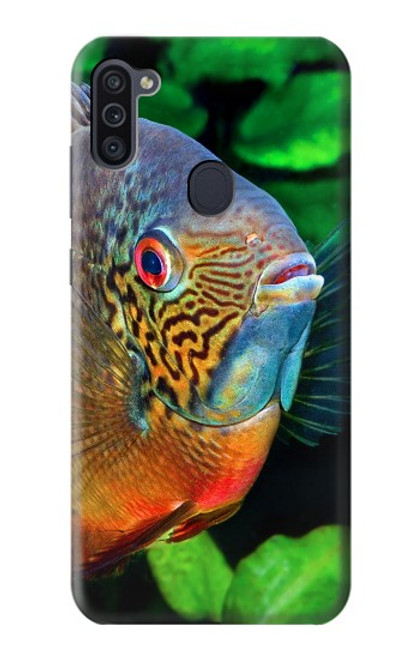 W1812 Cichlid Fish Hard Case and Leather Flip Case For Samsung Galaxy M11