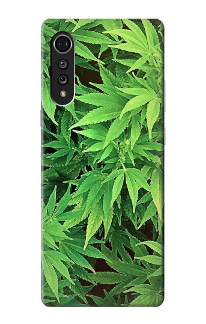 W1656 Marijuana Plant Hard Case and Leather Flip Case For LG Velvet