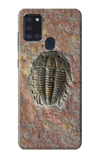 W1454 Trilobite Fossil Hard Case and Leather Flip Case For Samsung Galaxy A21s