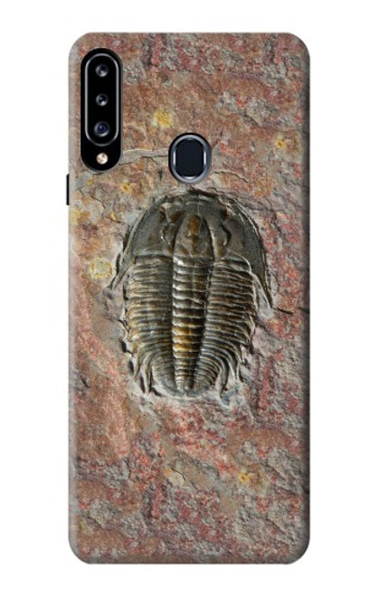 W1454 Trilobite Fossil Hard Case and Leather Flip Case For Samsung Galaxy A20s