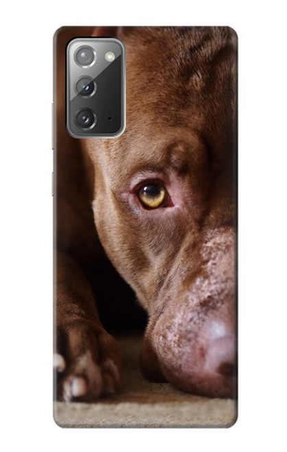 W0519 PitBull Face Hard Case and Leather Flip Case For Samsung Galaxy Note 20