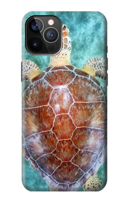 W1424 Sea Turtle Hard Case and Leather Flip Case For iPhone 12, iPhone 12 Pro