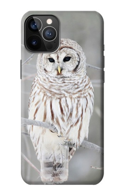 W1566 Snowy Owl White Owl Hard Case and Leather Flip Case For iPhone 12, iPhone 12 Pro