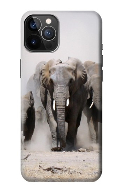 W3142 African Elephant Hard Case and Leather Flip Case For iPhone 12, iPhone 12 Pro