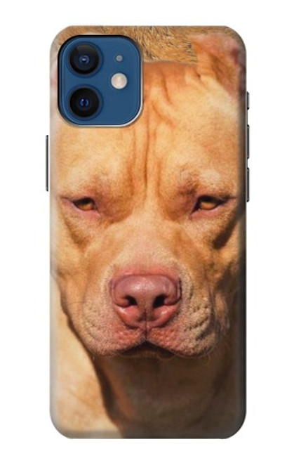 W2903 American Pitbull Dog Hard Case and Leather Flip Case For iPhone 12 mini