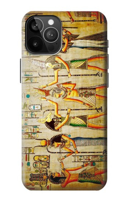 W0272 Egypt Wall Art Hard Case and Leather Flip Case For iPhone 12 Pro Max