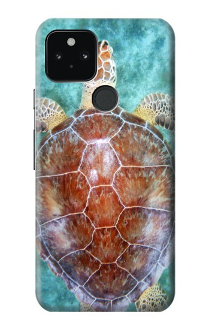 W1424 Sea Turtle Hard Case and Leather Flip Case For Google Pixel 5