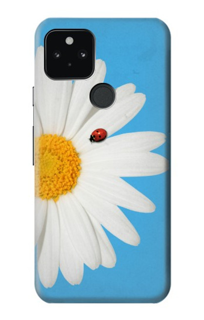 W3043 Vintage Daisy Lady Bug Hard Case and Leather Flip Case For Google Pixel 5